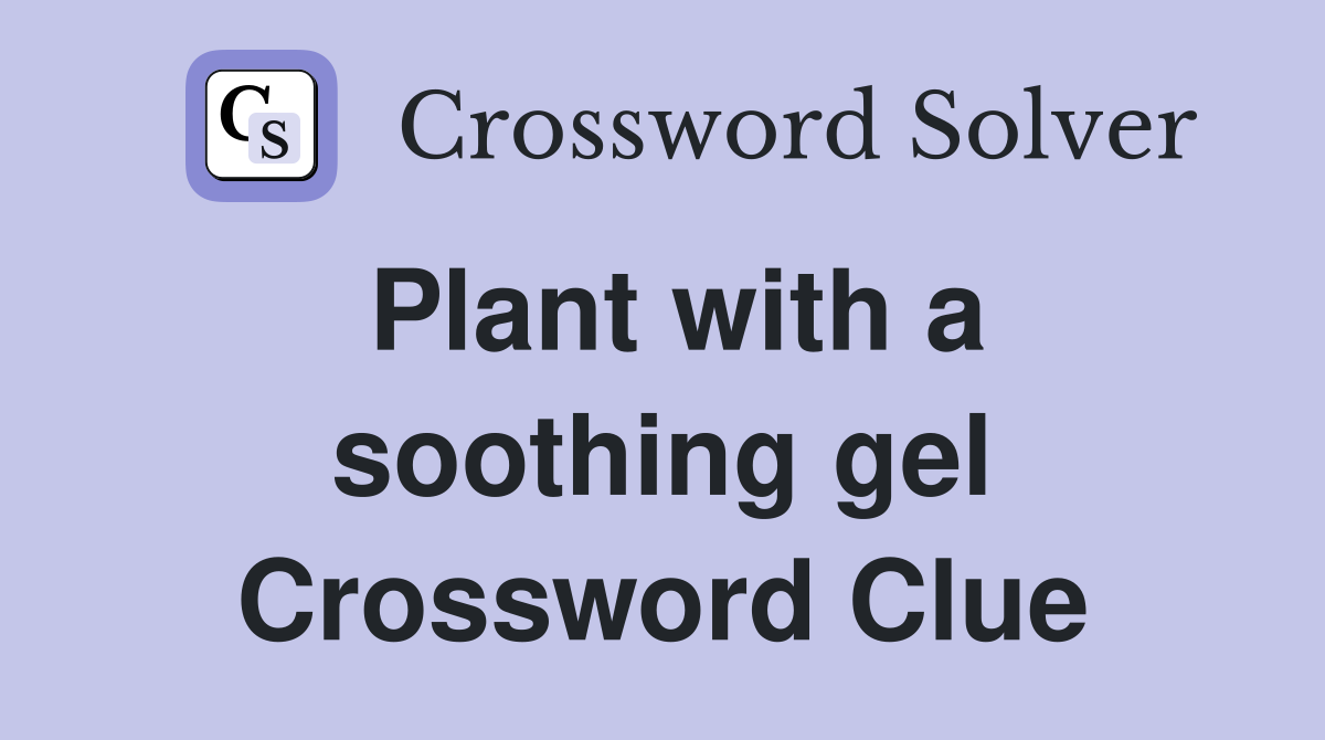 Plant with a soothing gel Crossword Clue