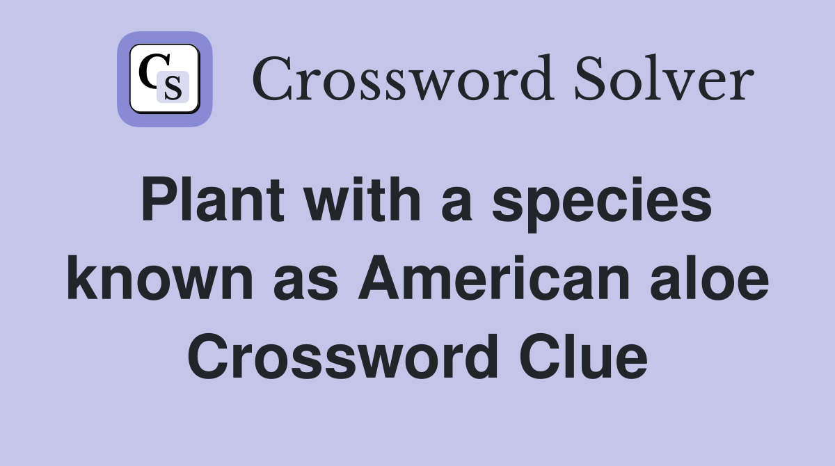 Plant with a species known as American aloe Crossword Clue