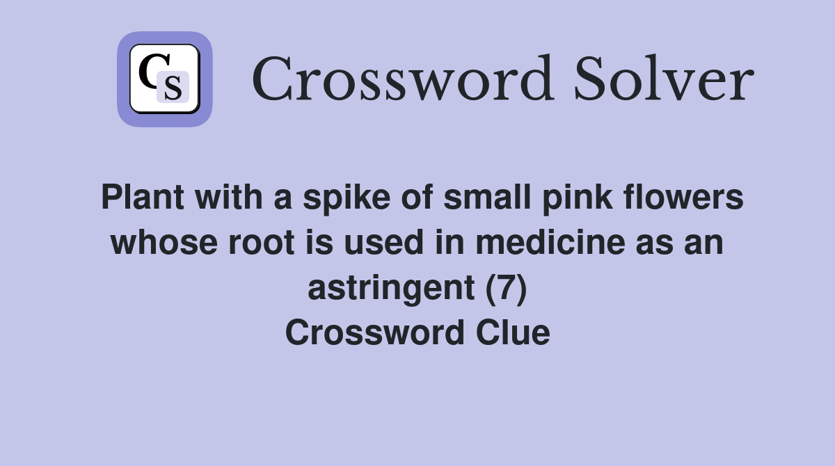 Plant with a spike of small pink flowers whose root is used in medicine as an astringent (7) Crossword Clue