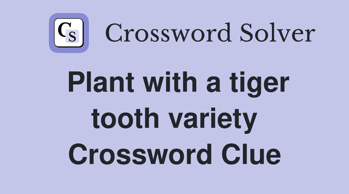 Plant with a tiger tooth variety Crossword Clue