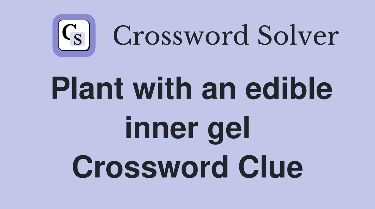 Plant with an edible inner gel Crossword Clue