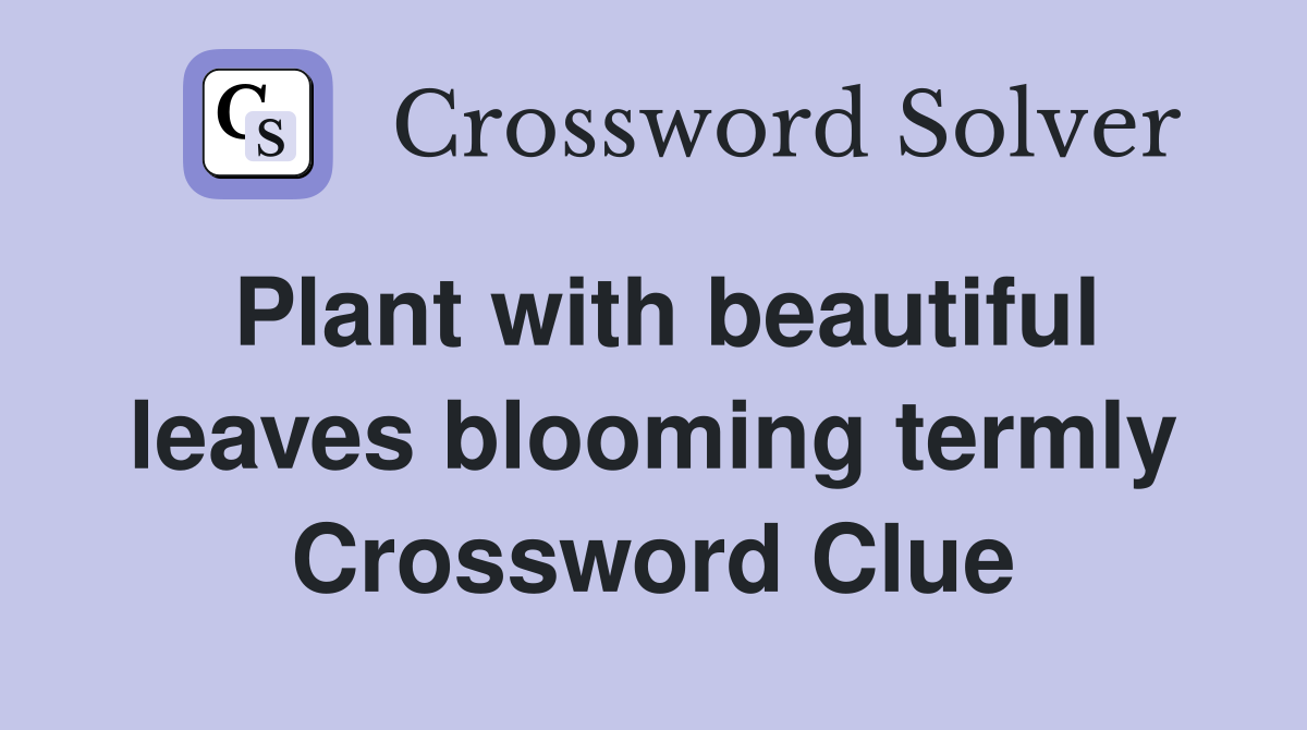 Plant with beautiful leaves blooming termly Crossword Clue