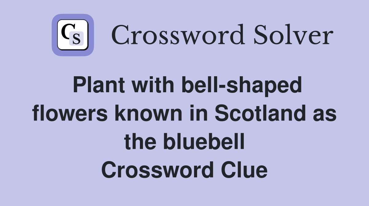 Plant with bell-shaped flowers known in Scotland as the bluebell Crossword Clue