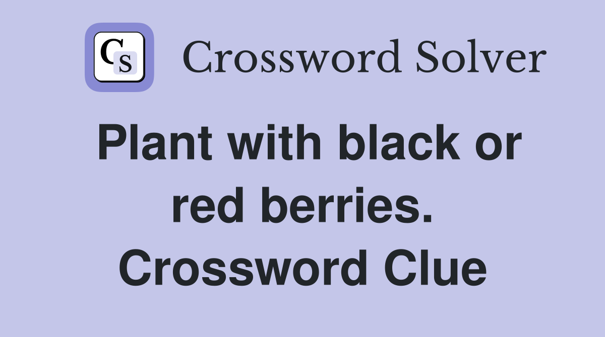Plant with black or red berries. Crossword Clue