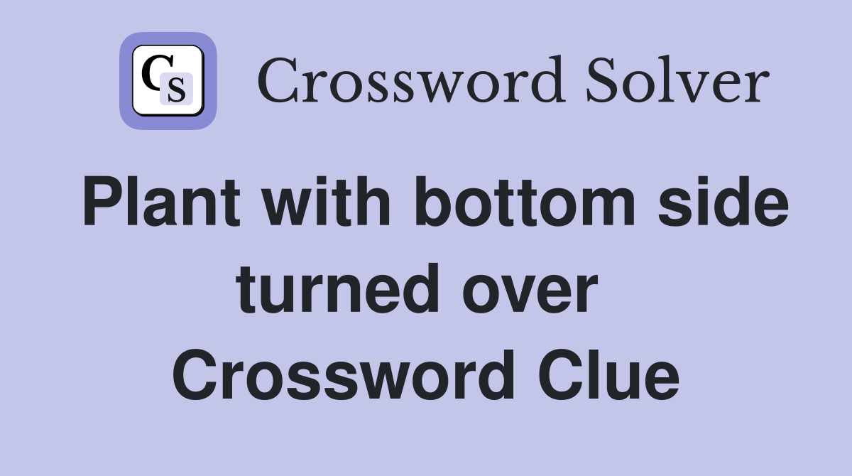 Plant with bottom side turned over  Crossword Clue