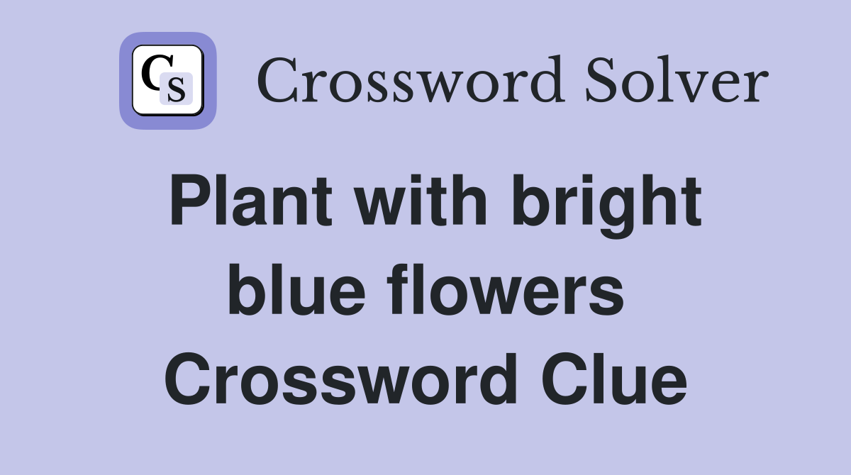Plant with bright blue flowers Crossword Clue