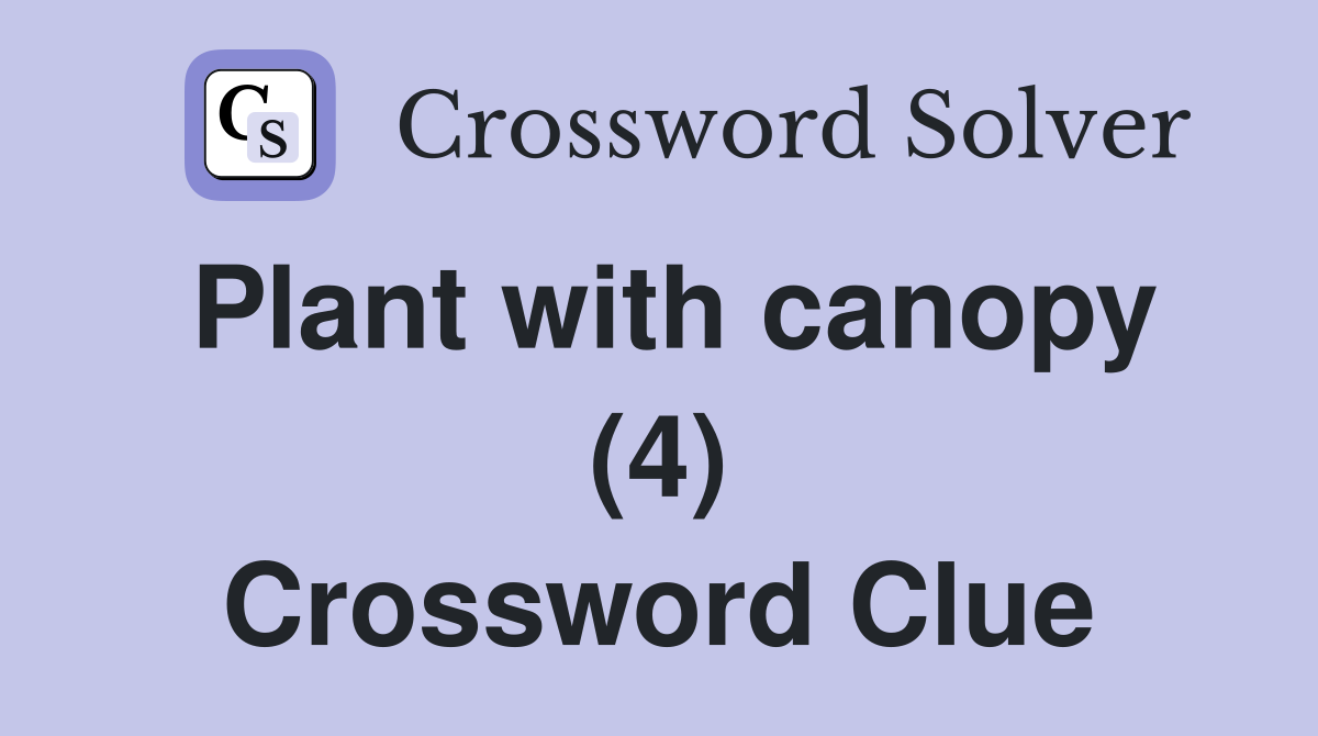Plant with canopy (4) Crossword Clue