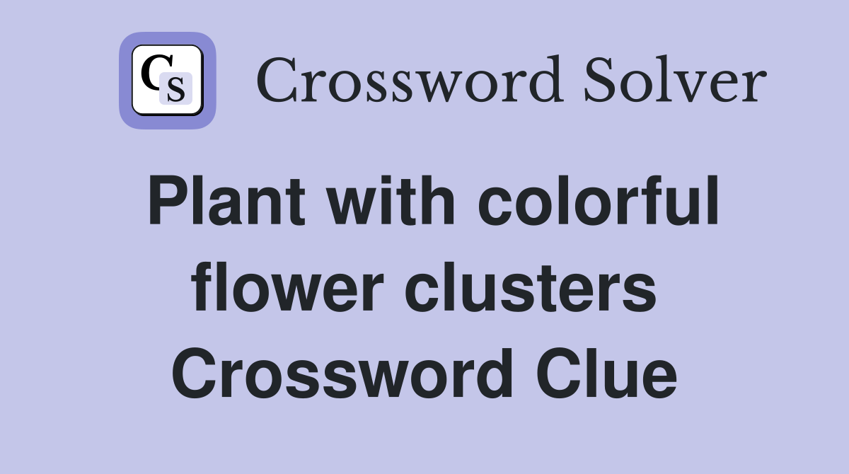 Plant with colorful flower clusters Crossword Clue