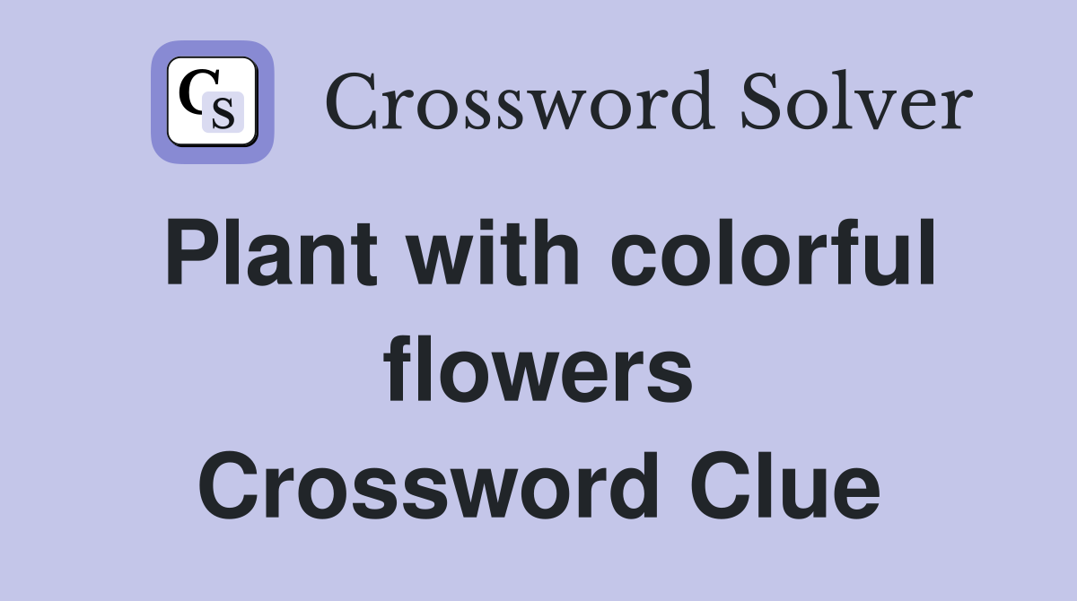 Plant with colorful flowers Crossword Clue