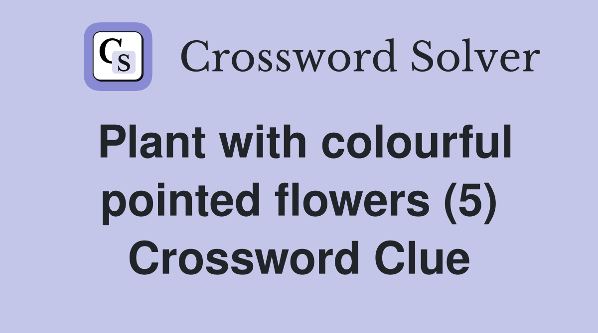 Plant with colourful pointed flowers (5) Crossword Clue