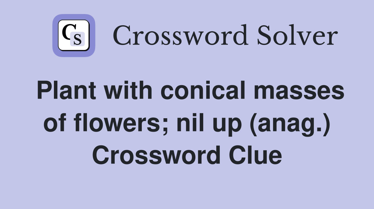 Plant with conical masses of flowers; nil up (anag.) Crossword Clue