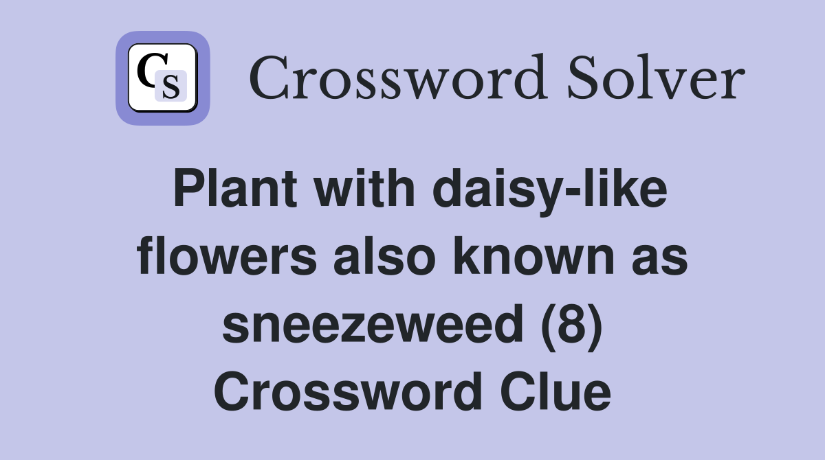 Plant with daisy-like flowers also known as sneezeweed (8) Crossword Clue