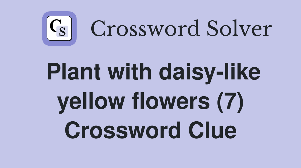 Plant with daisy-like yellow flowers (7) Crossword Clue