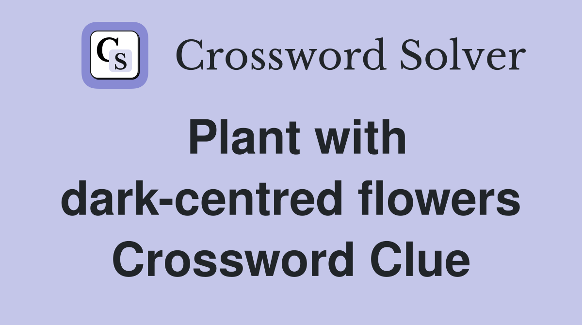 Plant with dark-centred flowers Crossword Clue