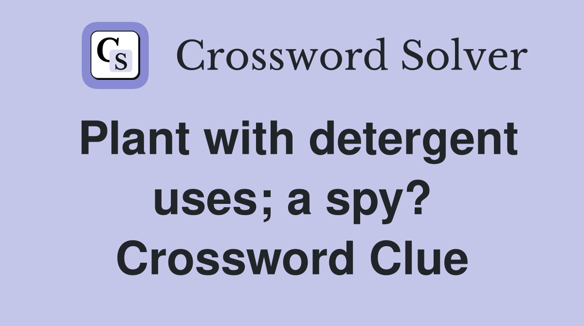 Plant with detergent uses; a spy? Crossword Clue