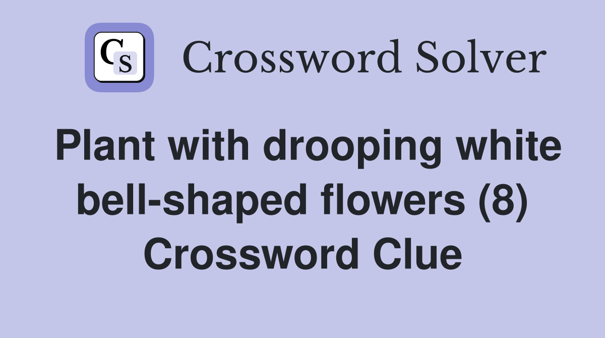 Plant with drooping white bell-shaped flowers (8) Crossword Clue