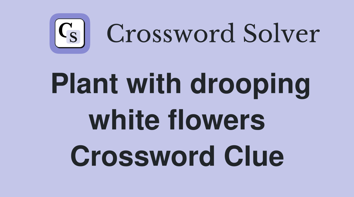 Plant with drooping white flowers Crossword Clue