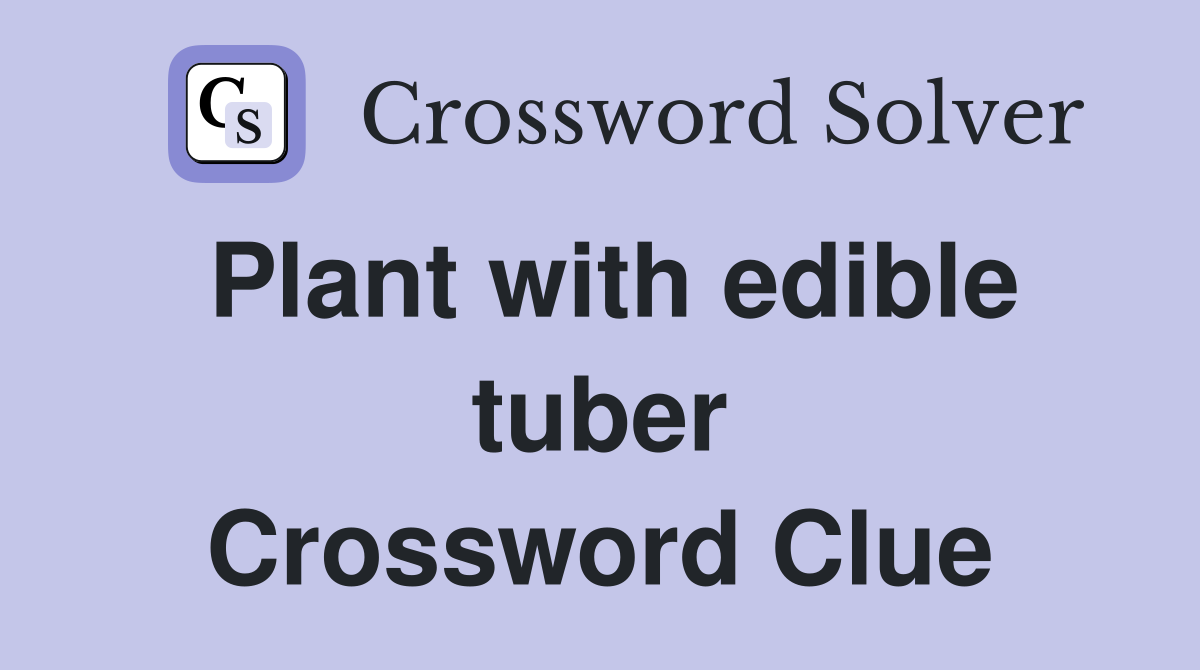 Plant with edible tuber Crossword Clue