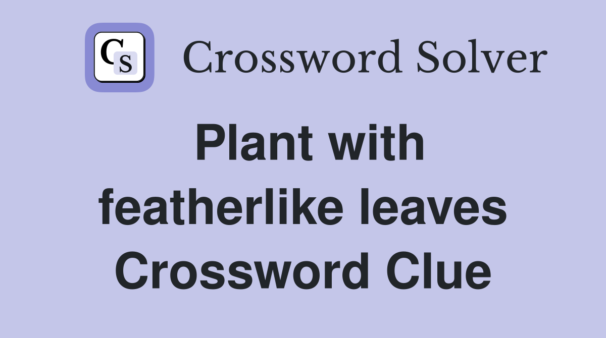 Plant with featherlike leaves Crossword Clue
