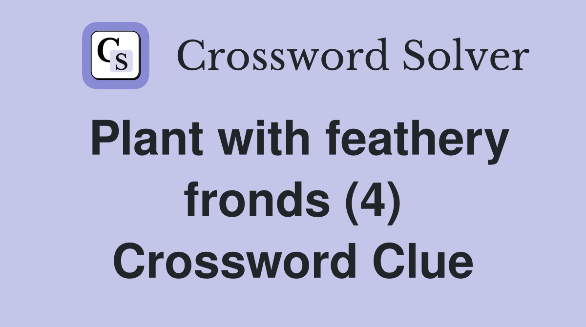 Plant with feathery fronds (4) Crossword Clue