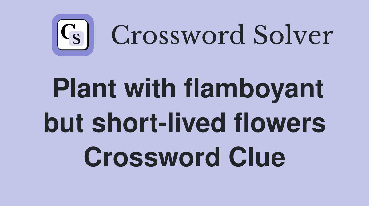 Plant with flamboyant but short-lived flowers Crossword Clue
