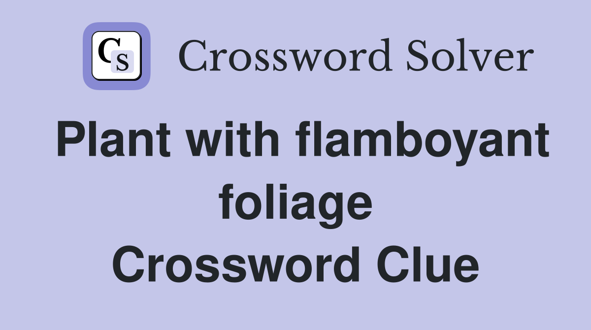 Plant with flamboyant foliage Crossword Clue