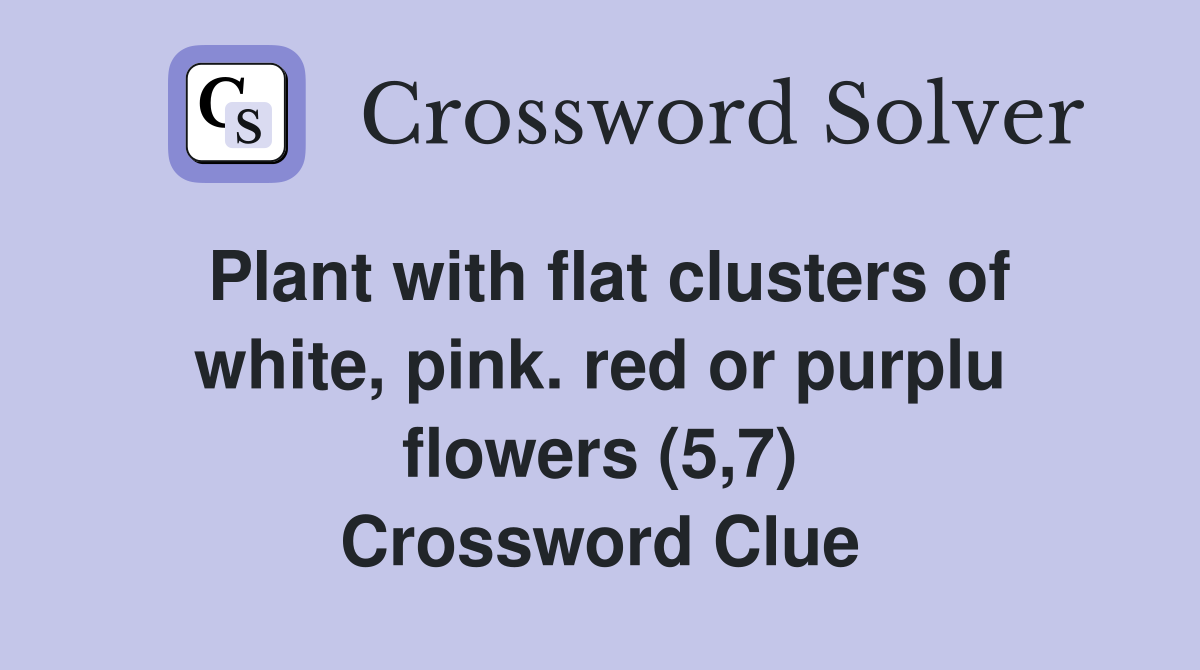 Plant with flat clusters of white, pink. red or purplu flowers (5,7) Crossword Clue