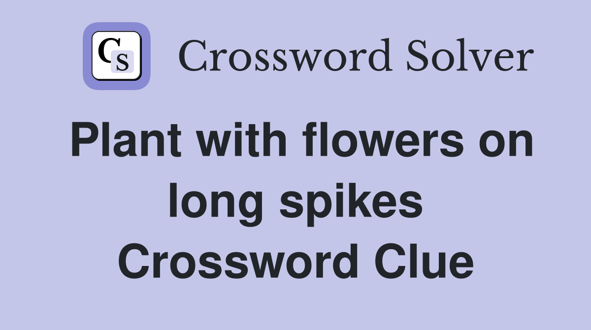 Plant with flowers on long spikes Crossword Clue