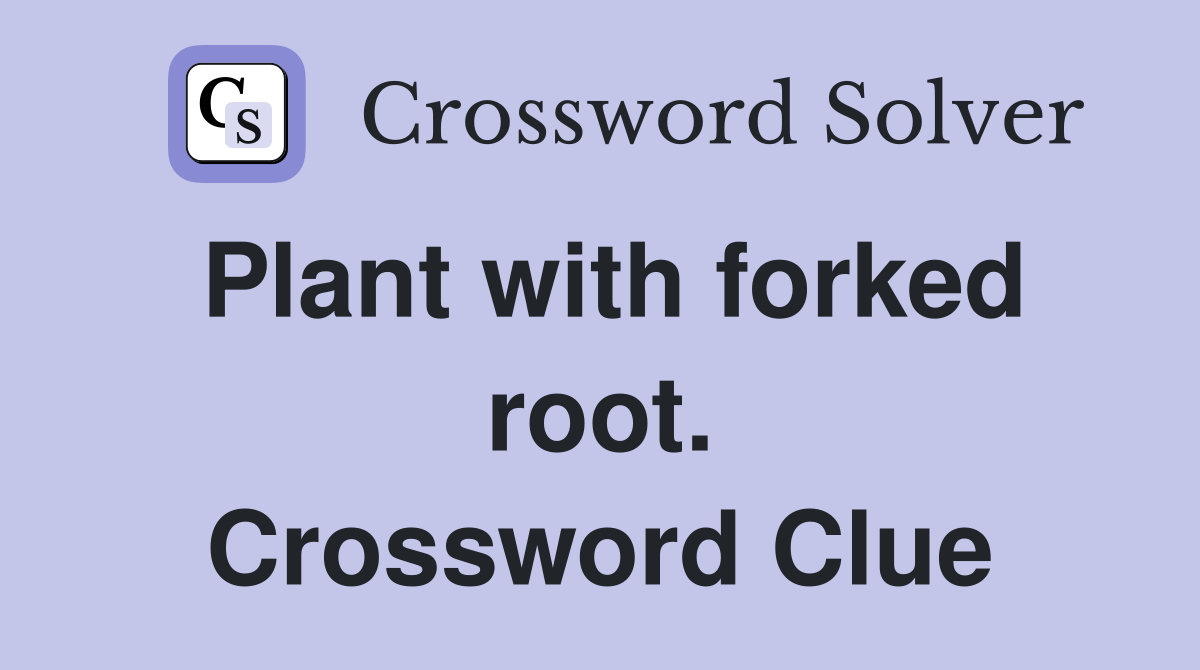 Plant with forked root. Crossword Clue