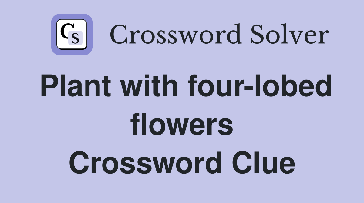 Plant with four-lobed flowers Crossword Clue