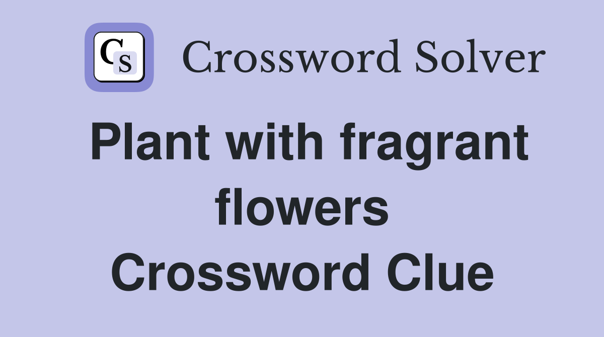 Plant with fragrant flowers Crossword Clue