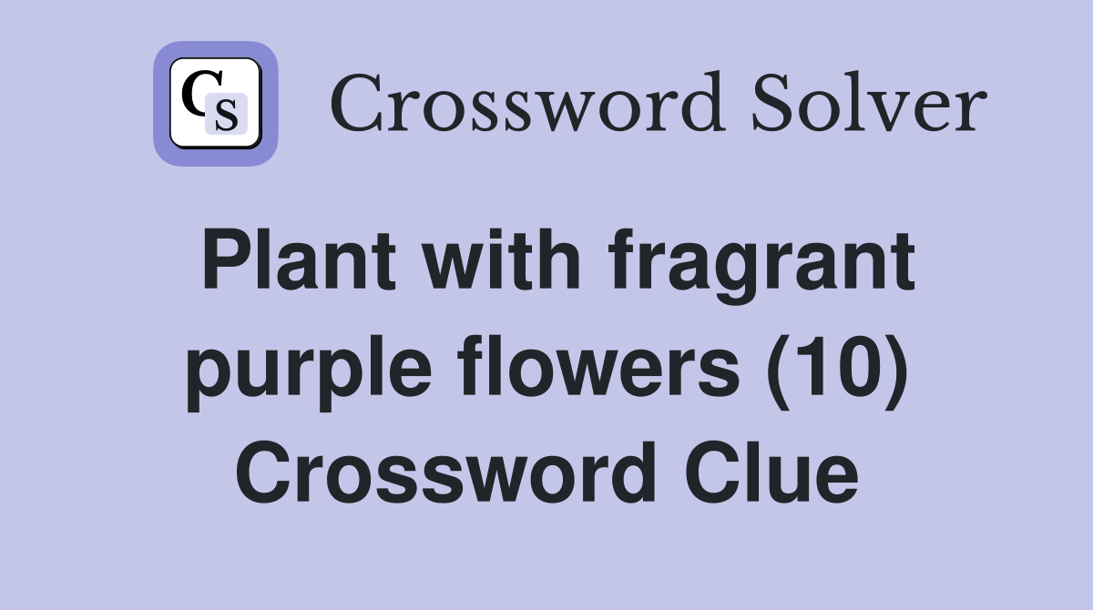 Plant with fragrant purple flowers (10) Crossword Clue