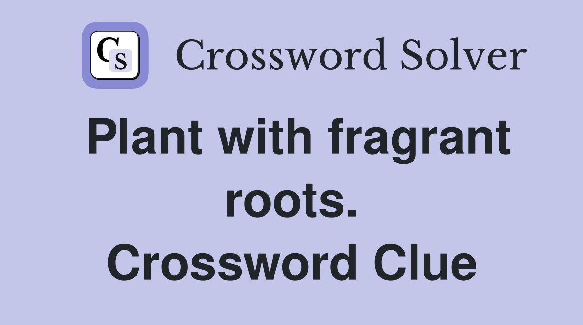 Plant with fragrant roots. Crossword Clue