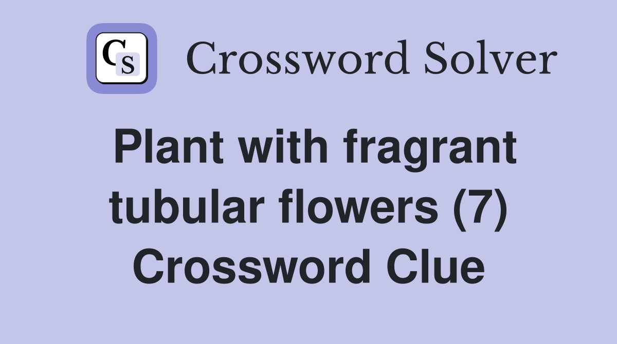 Plant with fragrant tubular flowers (7) Crossword Clue