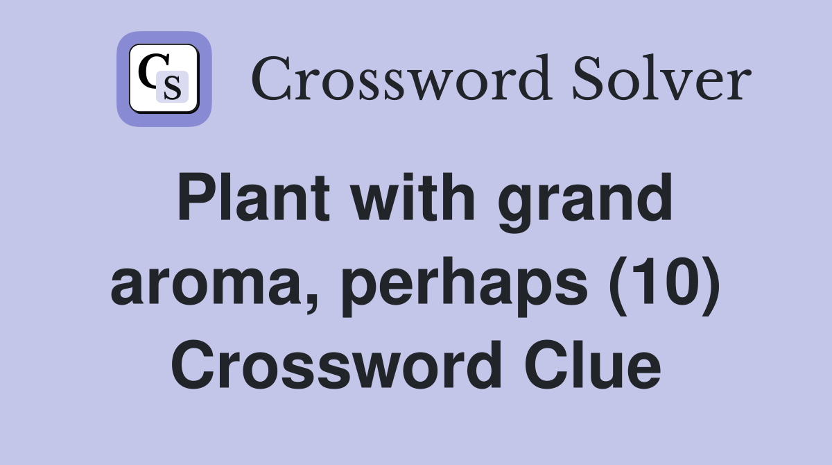 Plant with grand aroma, perhaps (10) Crossword Clue