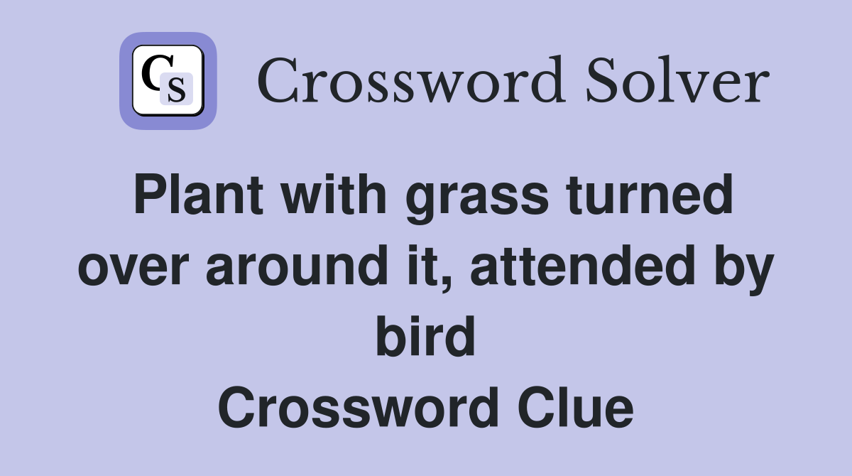 Plant with grass turned over around it, attended by bird Crossword Clue