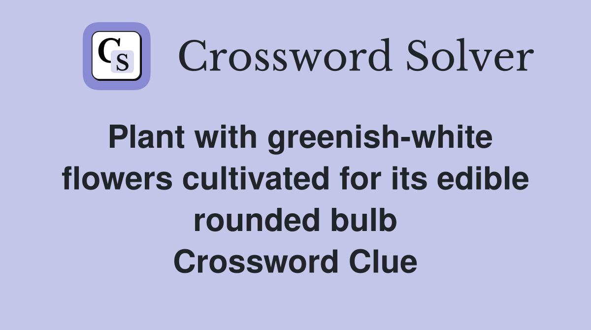 Plant with greenish-white flowers cultivated for its edible rounded bulb Crossword Clue