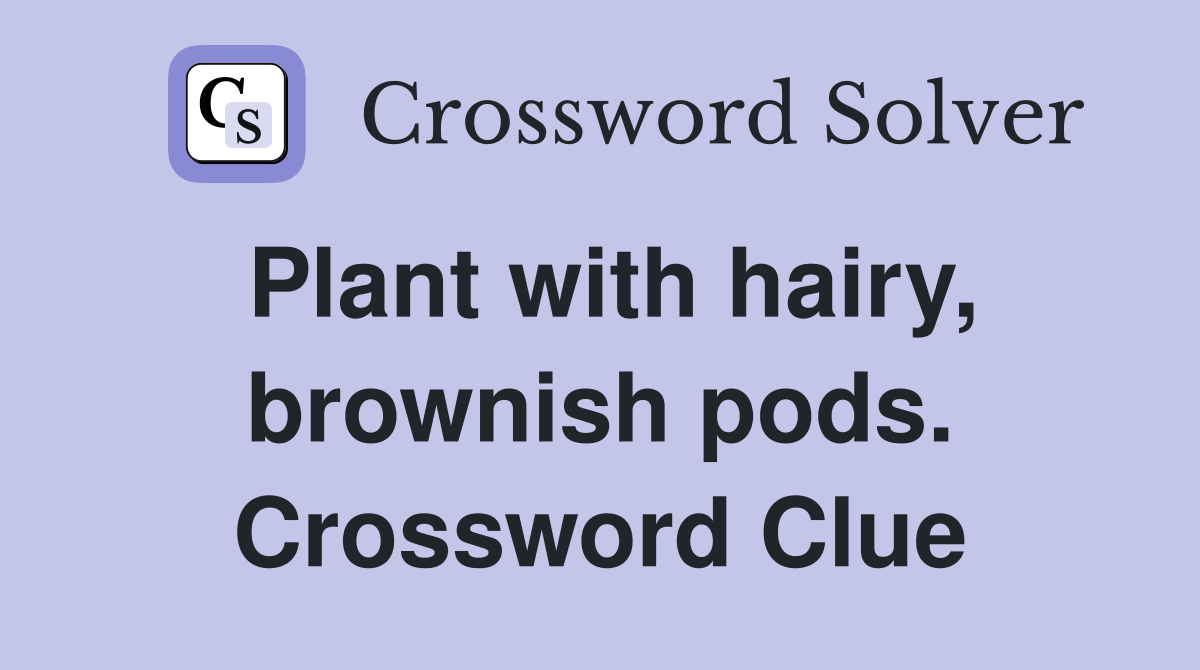 Plant with hairy, brownish pods. Crossword Clue