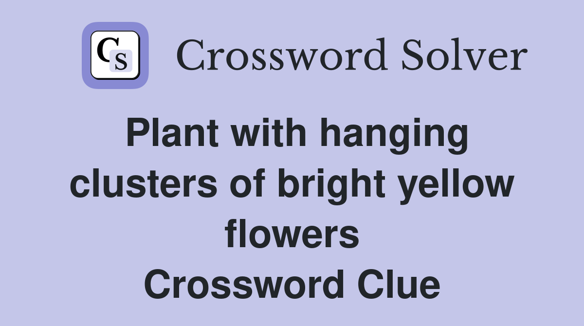 Plant with hanging clusters of bright yellow flowers Crossword Clue