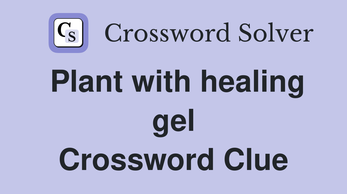 Plant with healing gel Crossword Clue