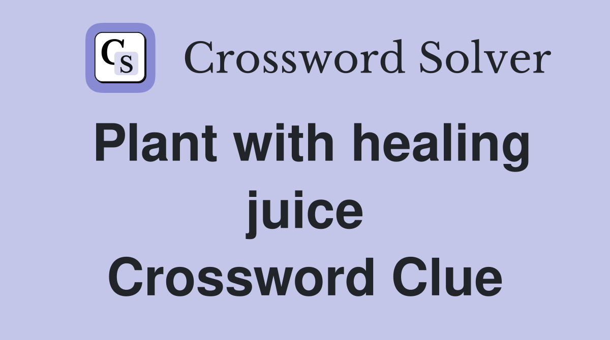 Plant with healing juice Crossword Clue