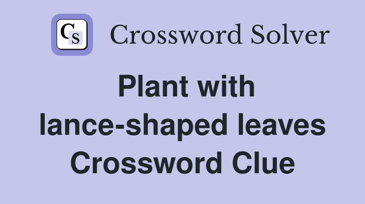 Plant with lance-shaped leaves Crossword Clue