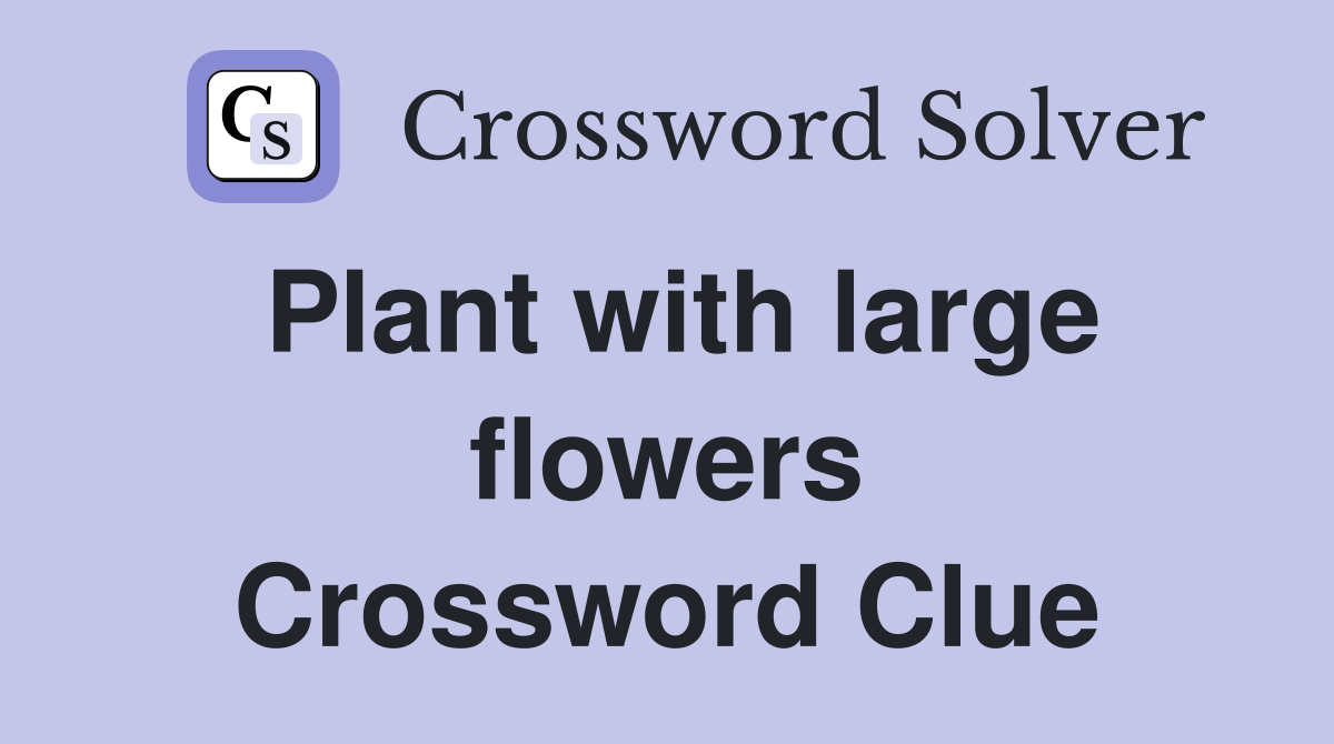 Plant with large flowers Crossword Clue