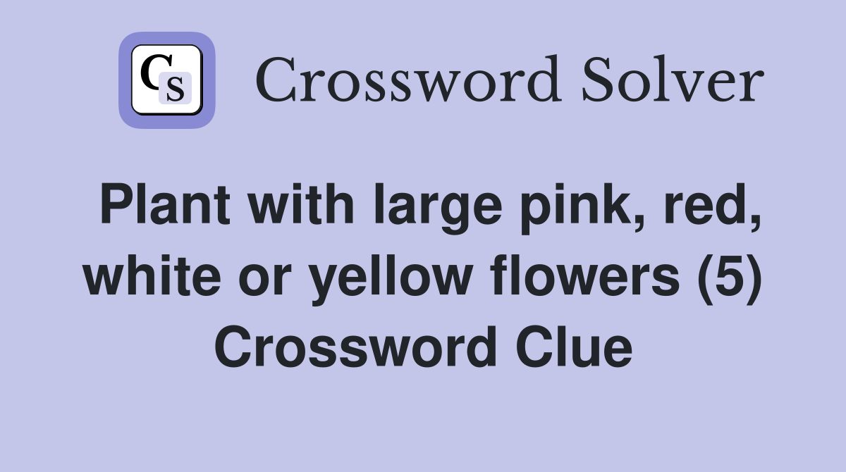 Plant with large pink, red, white or yellow flowers (5) Crossword Clue