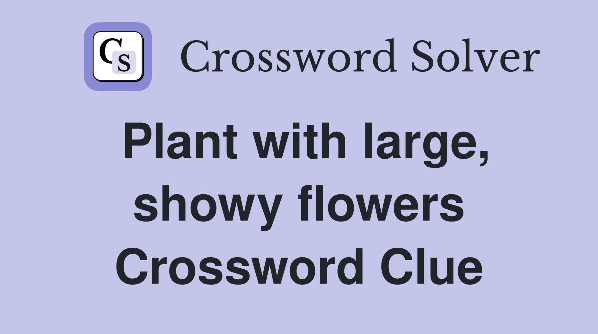 Plant with large, showy flowers Crossword Clue