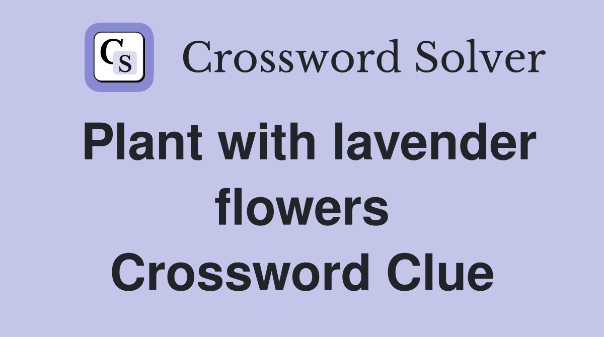 Plant with lavender flowers Crossword Clue