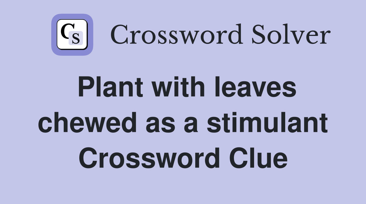 Plant with leaves chewed as a stimulant Crossword Clue