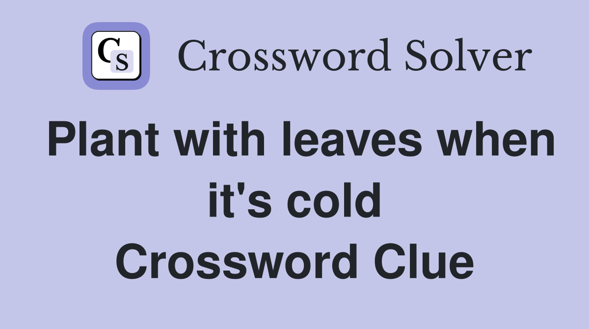 Plant with leaves when it's cold Crossword Clue
