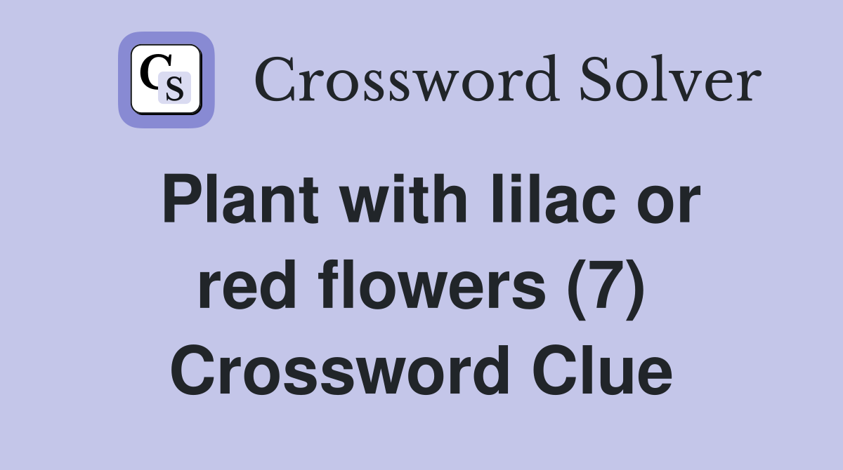 Plant with lilac or red flowers (7) Crossword Clue