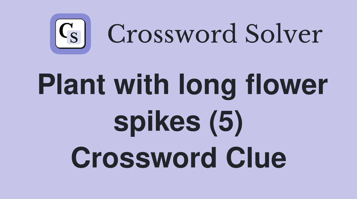 Plant with long flower spikes (5) Crossword Clue